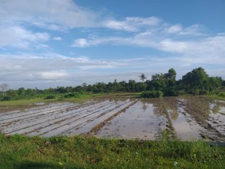 Dampak Banjir di Dusun Gedong